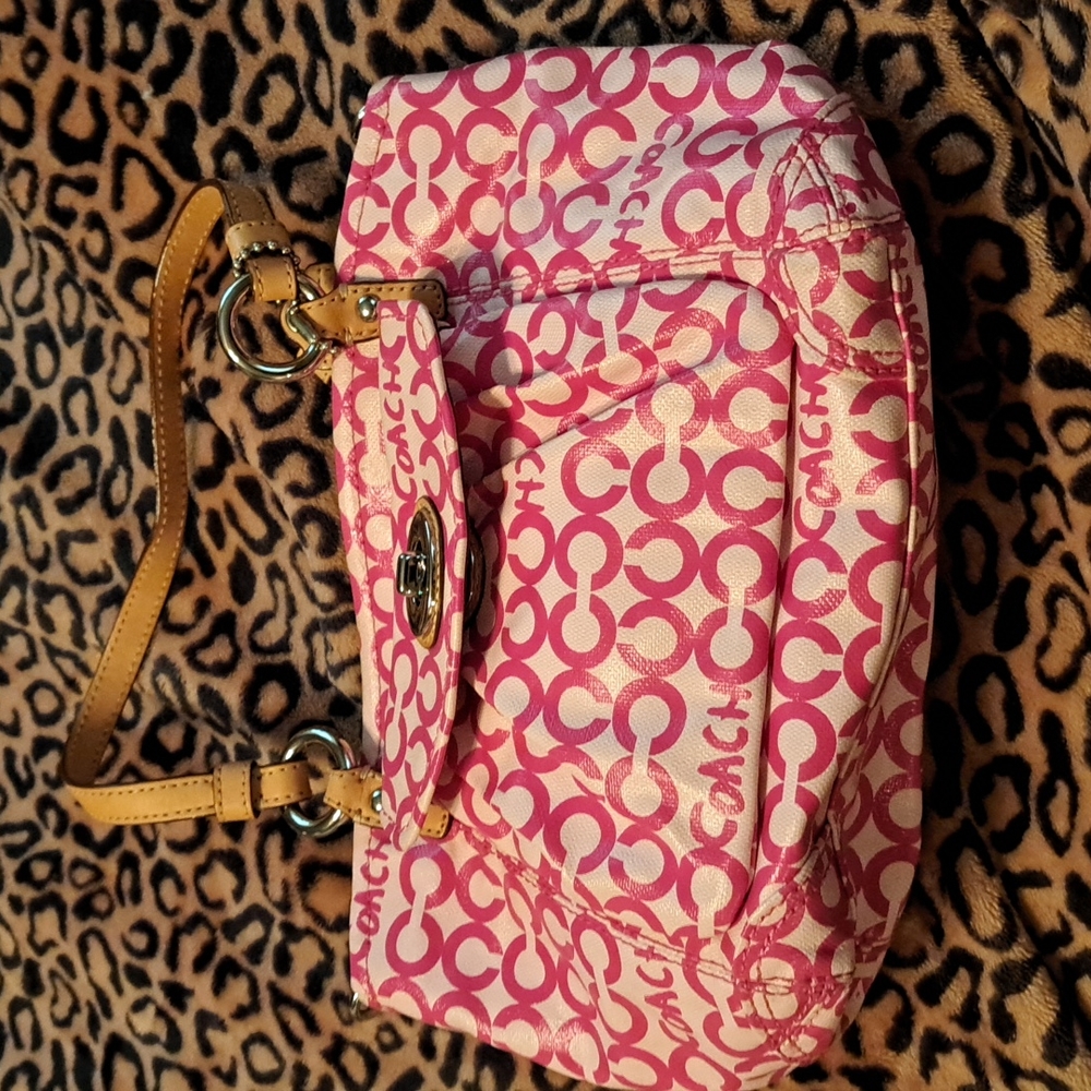 ADORABLE COACH BAG